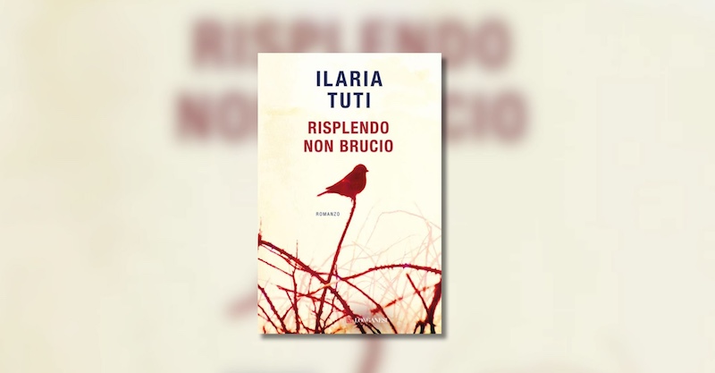 Risplendo-non-brucio-di-Ilaria-Tuti